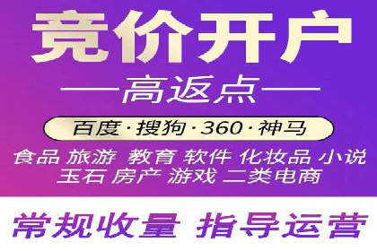 网络推广中的竞价广告：成功案例解析
